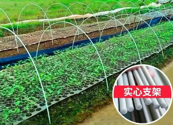 قضيب بلاستيكي مقوى بالألياف 10 مم، قضبان من الألياف الزجاجية المرنة لزراعة البيوت الخضراء